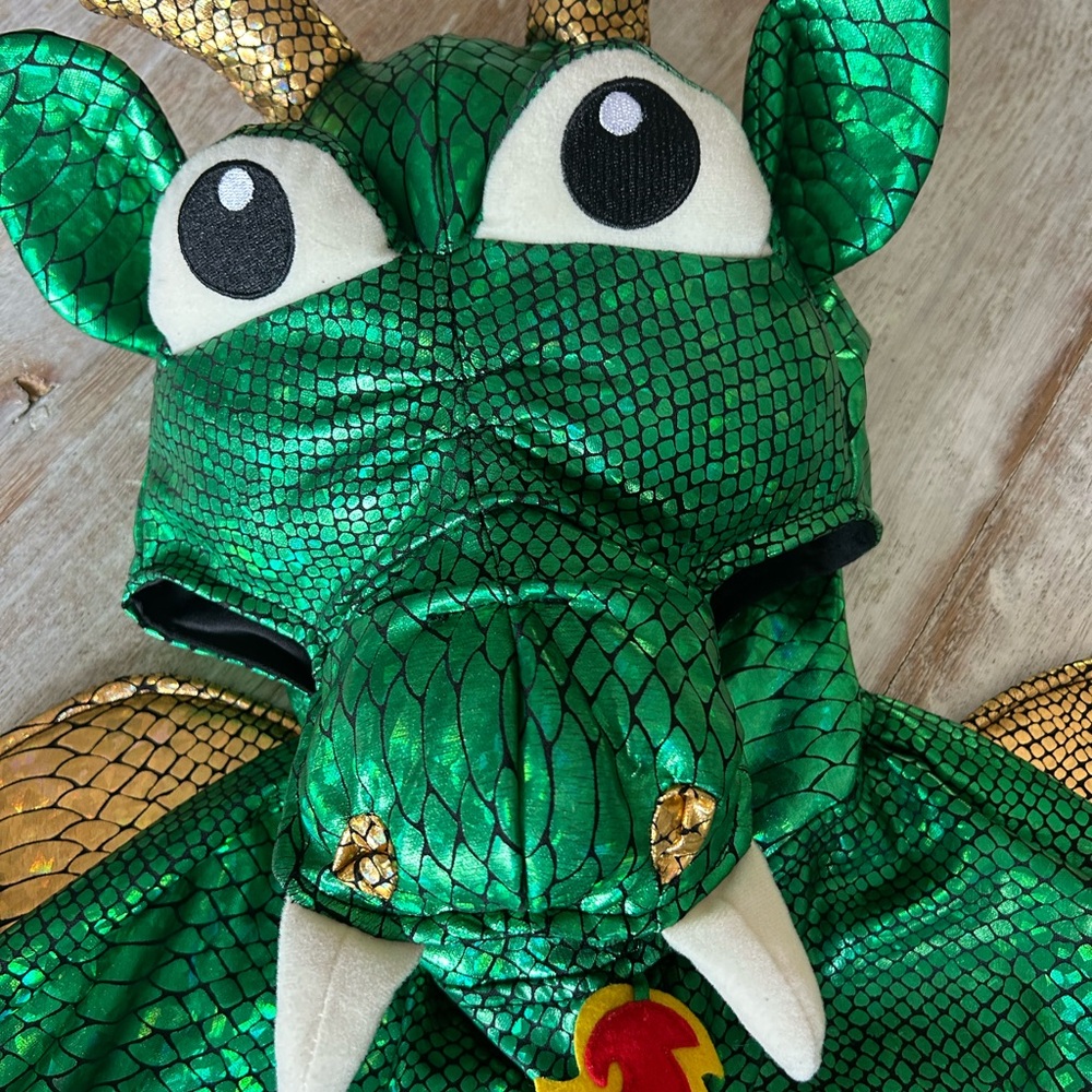 Green Dragon Kids Halloween Costume